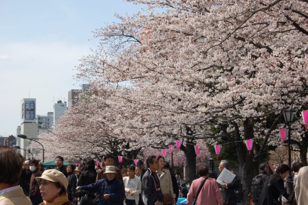 b0082484_23365652.jpg