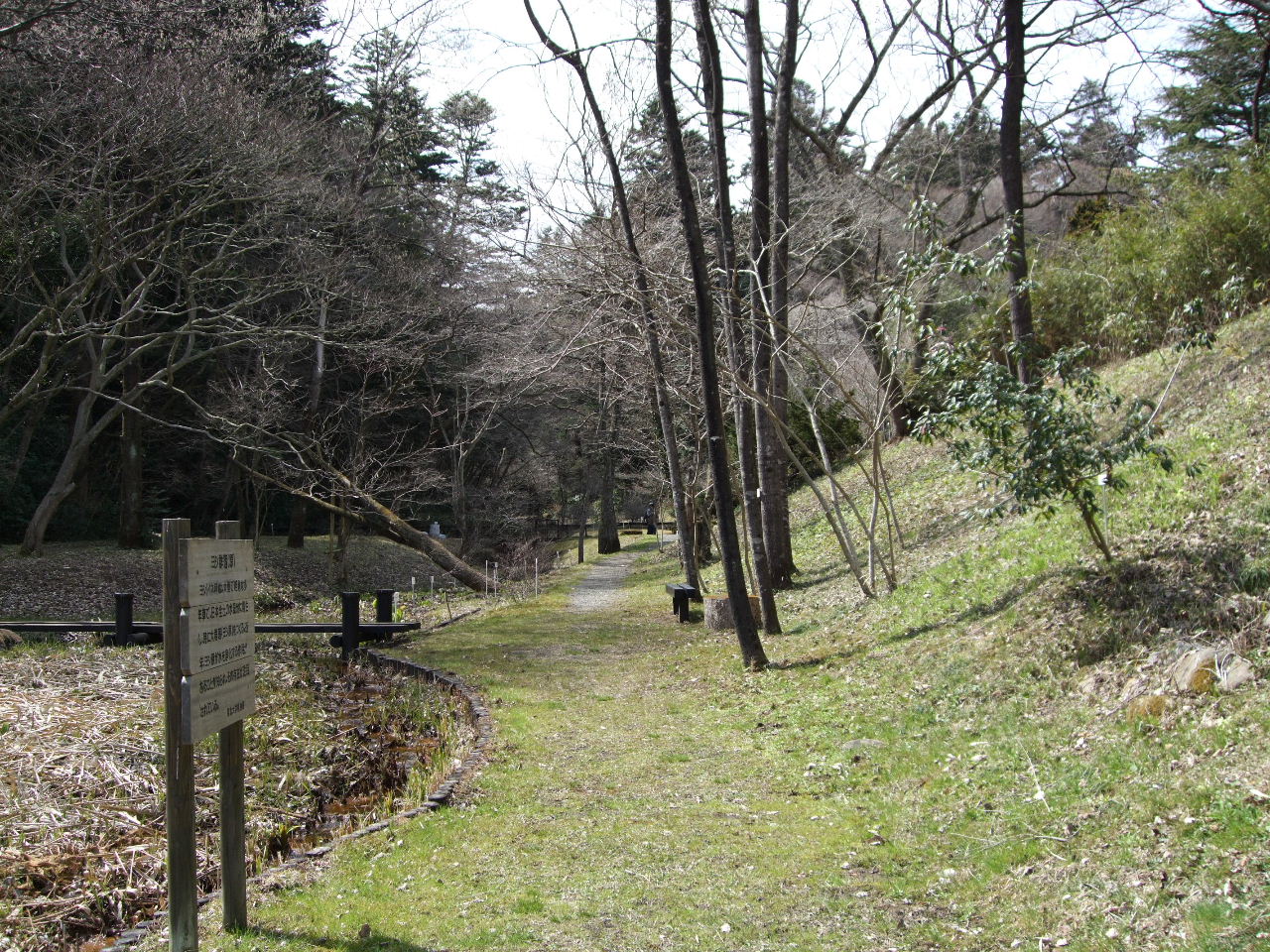 東北大学植物園の水芭蕉とデジカメFinePix F50fd_f0100593_1533193.jpg