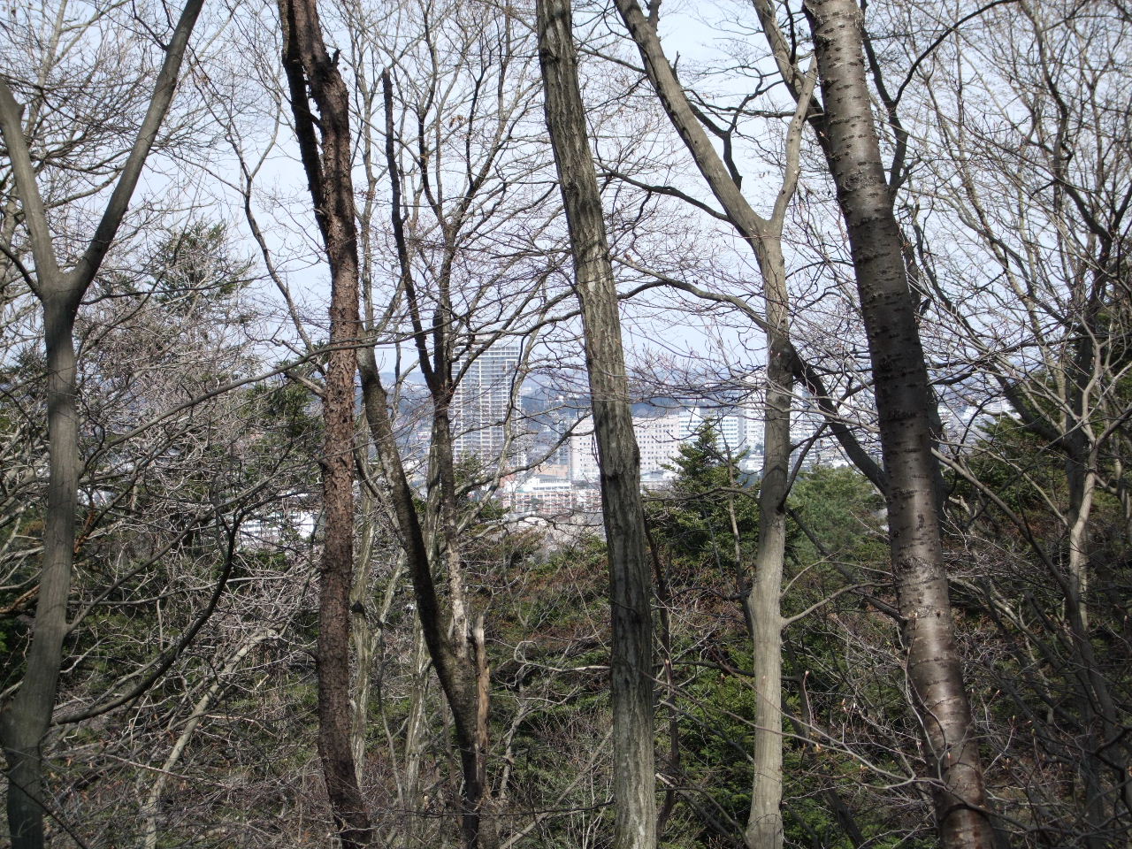 東北大学植物園の水芭蕉とデジカメFinePix F50fd_f0100593_1544988.jpg