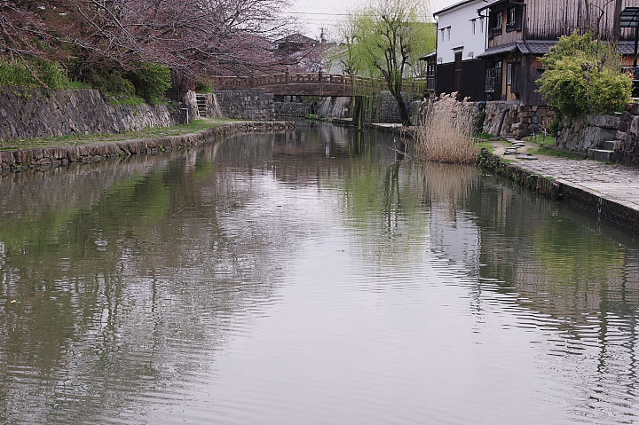 近江八幡・その２　朝の八幡掘_d0069495_1014182.jpg