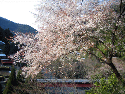 b0108100_201382.gif