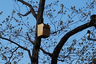 c0124100_16212218.jpg