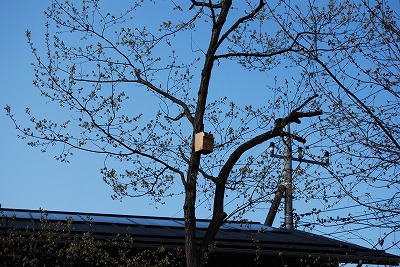 c0124100_16213665.jpg