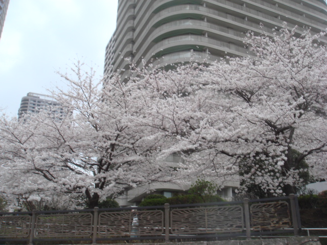 e0028505_2311159.jpg