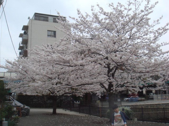 e0028505_23123082.jpg