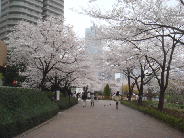 e0028505_2384882.jpg