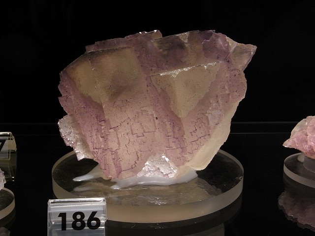 f0138305_8135522.jpg