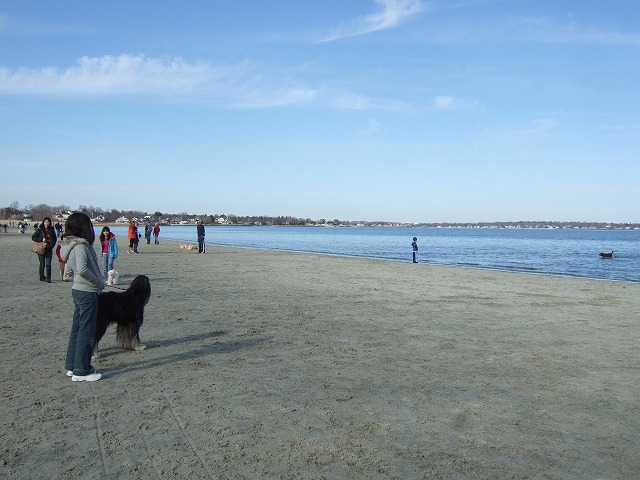 e0124011_103665.jpg