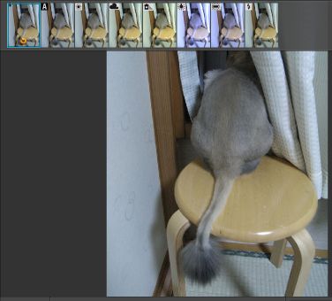 Photoshop Express_c0025115_163513.jpg