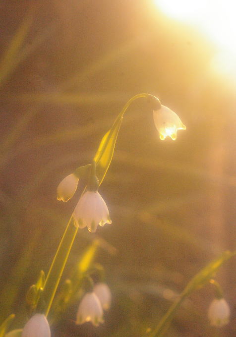 d0006718_65508.jpg