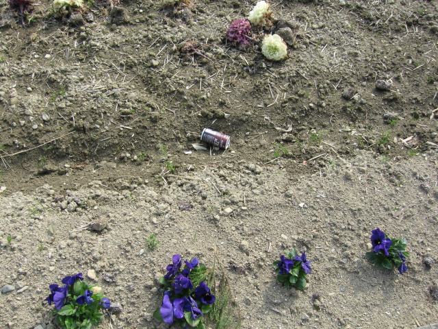 c0117028_2319487.jpg