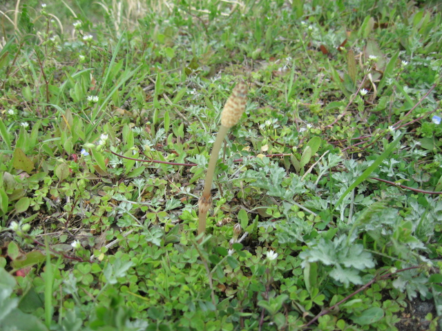 c0117028_2323173.jpg