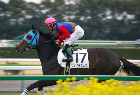 最速！　競馬一日体験♪♪_d0145934_11122975.jpg