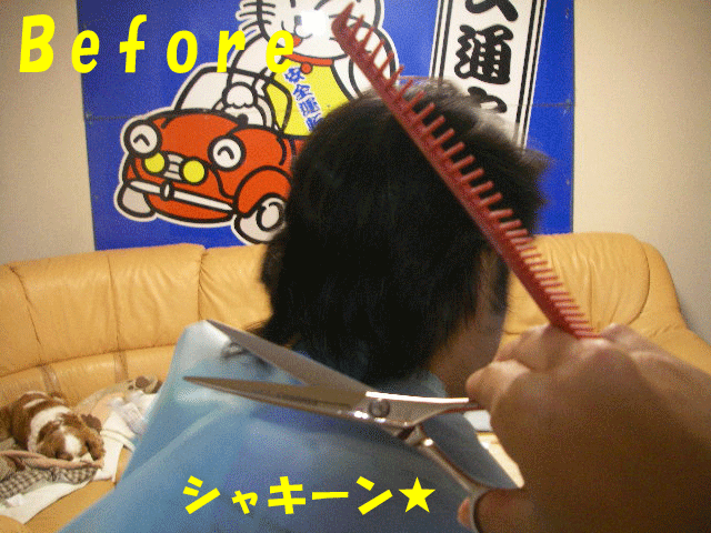 c0136838_2182918.gif