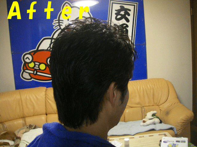 c0136838_2193323.gif