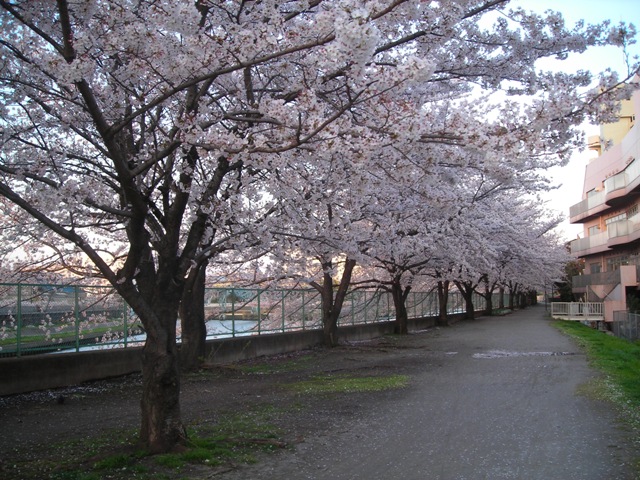 土砂降りのち晴れ_b0080342_21201426.jpg