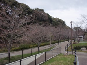 c0119142_6541293.jpg