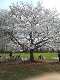 d0102642_0355942.gif