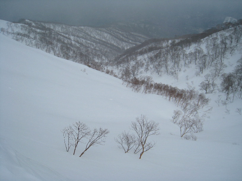 a0022655_82586.jpg