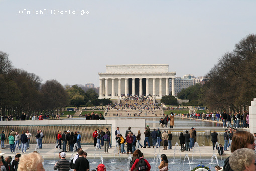 お花見ツアー　in Washington DC_f0006855_20145991.jpg