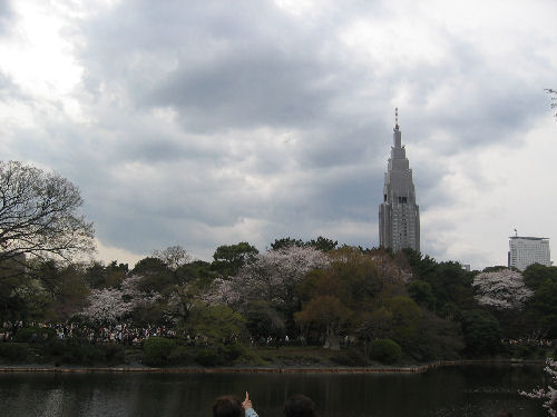 新宿御苑でお花見♡_f0054260_1955214.jpg