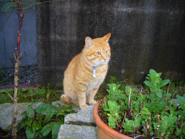 3月31日(月)春なのに、寒!_f0060461_1824824.jpg