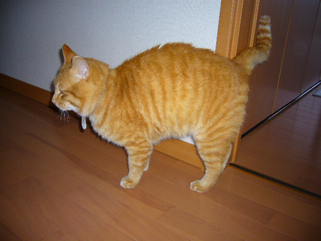 3月31日(月)春なのに、寒!_f0060461_1834622.jpg
