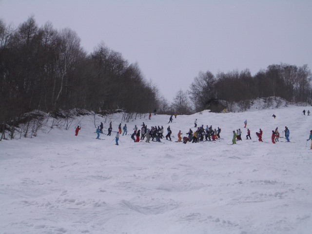 d0010065_2222429.jpg