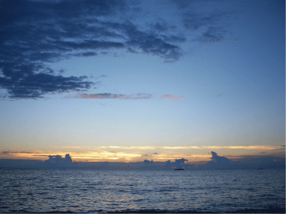 a0014067_1837924.gif