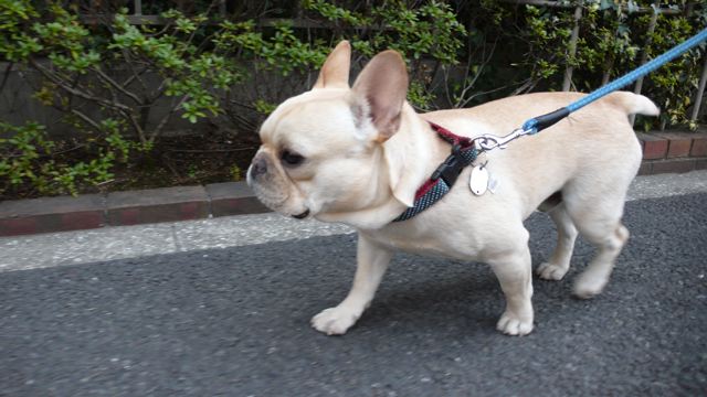 f0143269_05837.jpg
