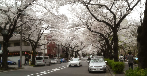 b0005376_2535837.jpg