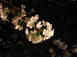 e0134878_19161261.jpg