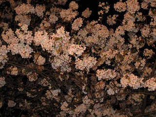e0134878_1919633.jpg