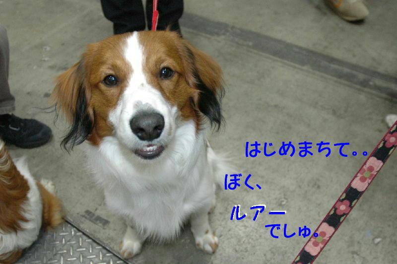 c0075585_2240134.jpg