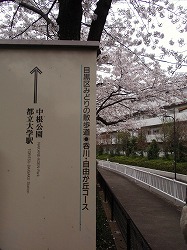 c0105785_84467.jpg