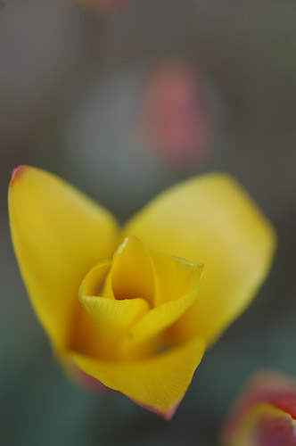 c0026690_2012414.jpg