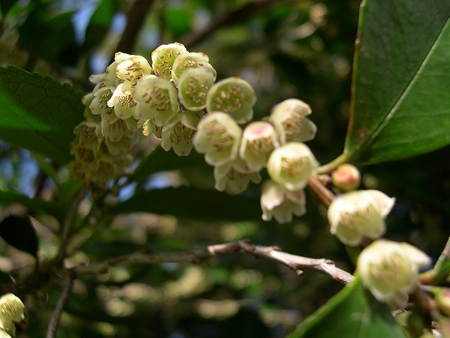 e0145693_235410.jpg