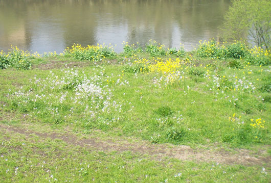 d0122194_1714448.jpg