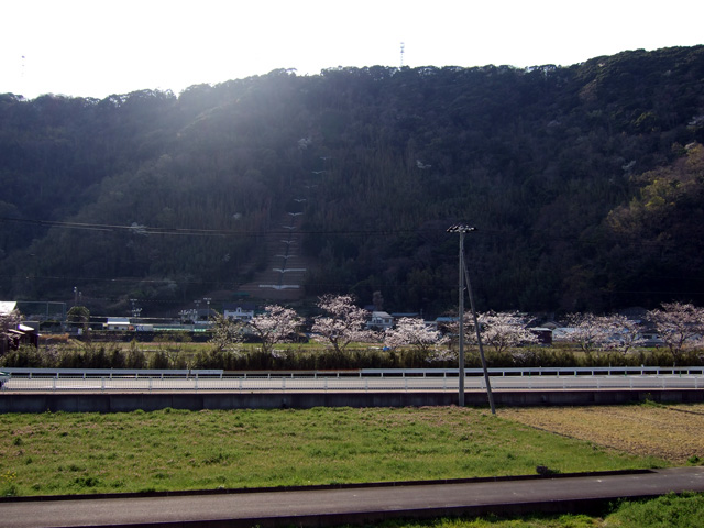 春の日差しの雲見で４本！　【2008年3月29日】_f0053895_15501022.jpg