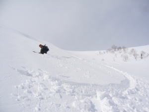 e0070606_2492368.jpg