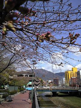 2008S/S速報_b0081010_1953681.jpg