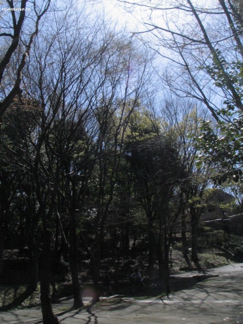 b0118511_2363433.jpg