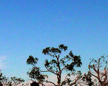 a0055913_004966.gif