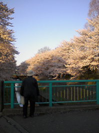 e0050813_20501976.jpg