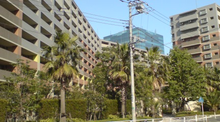 b0087914_22422926.jpg