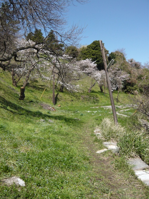 d0065116_19564976.jpg