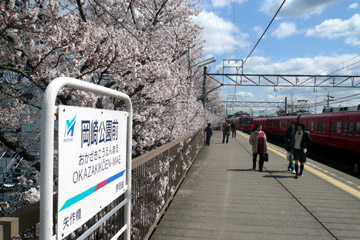 岡崎公園桜まつり_e0083517_5503070.jpg