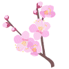 b0132421_2441467.gif