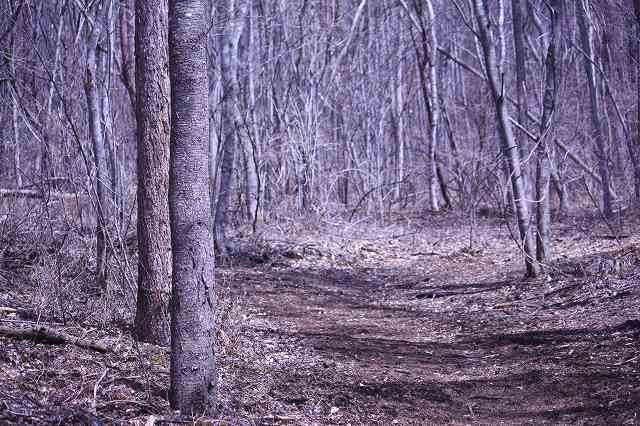 f0100825_235226.jpg