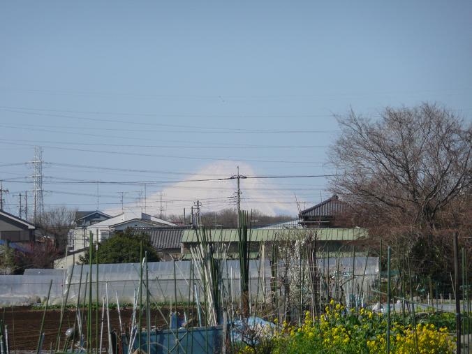 a0050728_22323220.jpg